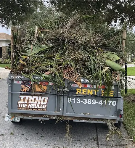 Debris and Storm Clean Up Service in Tampa and the Tampa Bay Area